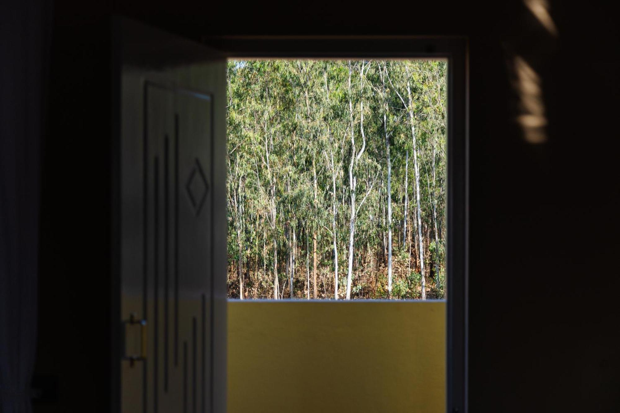 Moonlight Manor- Luxury Escape Villa Bangalore Bagian luar foto